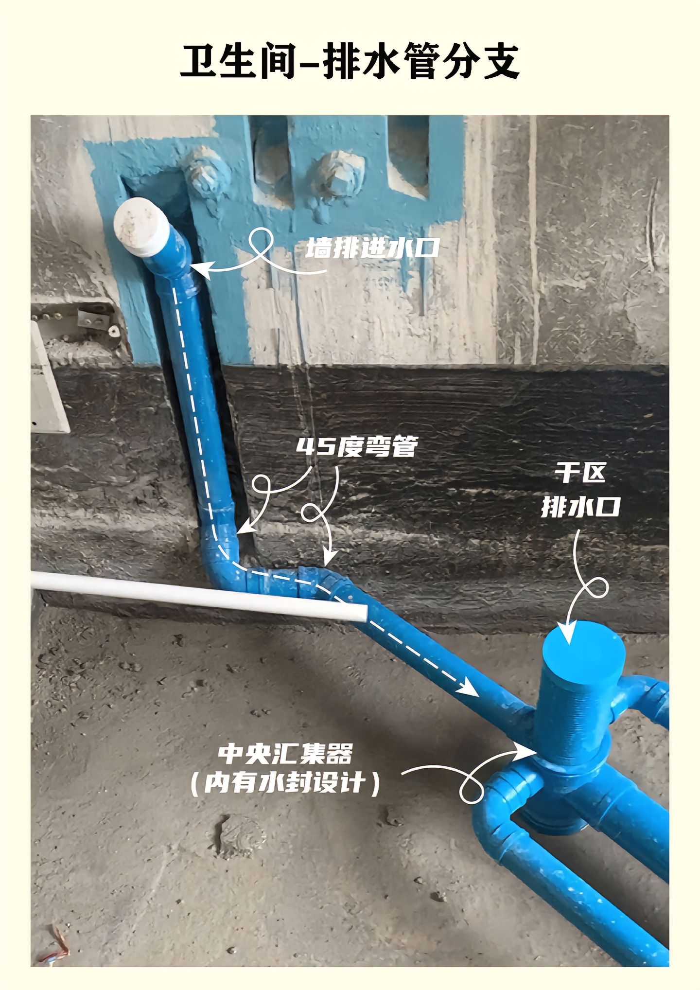 13343880814479683.jpeg 13343880814479683.jpeg